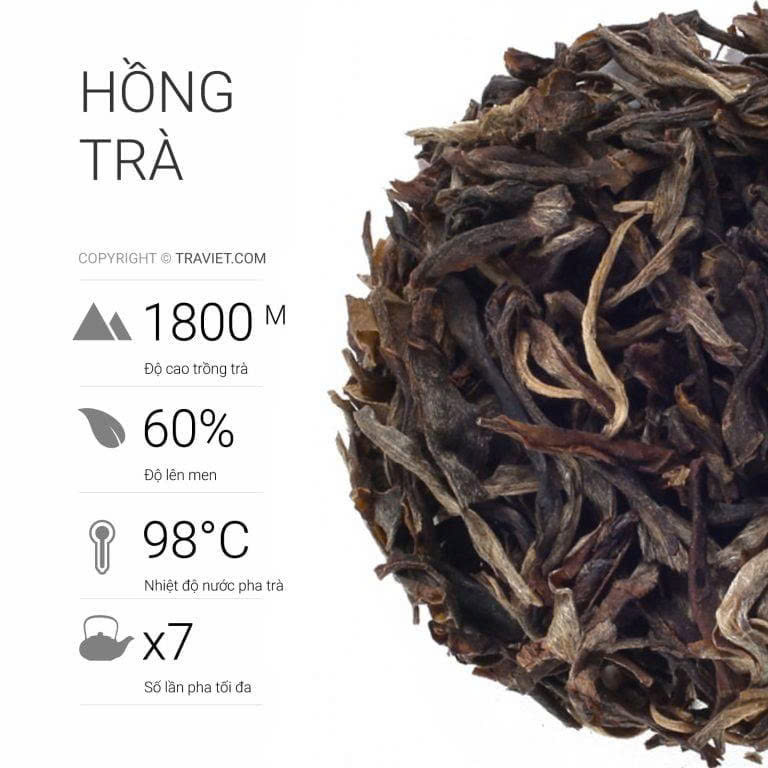 Hồng trà Hà Giang - Ảnh 3